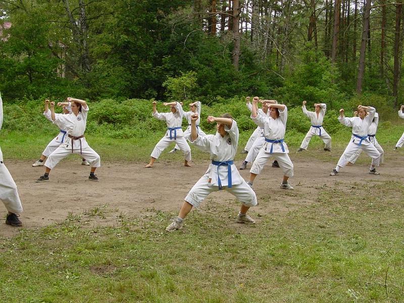 Heian Nidan 1.jpg